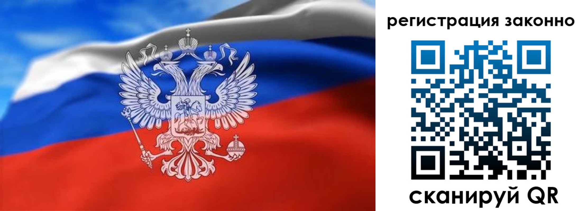 прописка для школы в Дмитрове