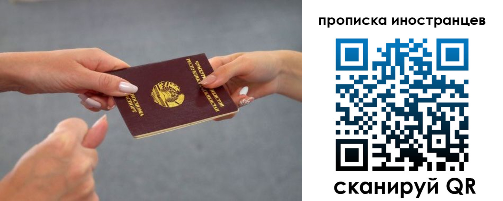 регистрация для дет. сада в Дмитрове